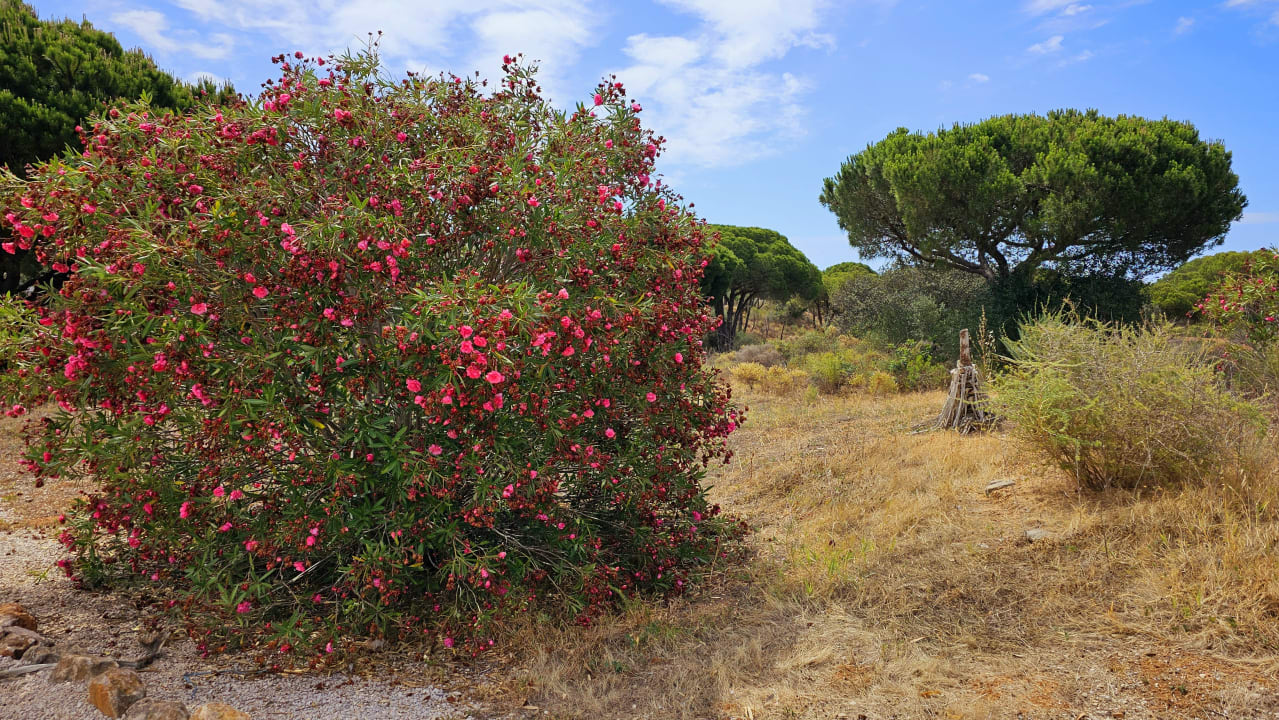 Gartenanlage AP Adriana Beach Resort