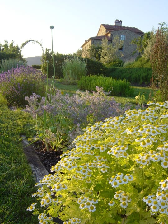 Herb Garden Il Giardino delle Erbe Aromatiche Agriturismo Odina