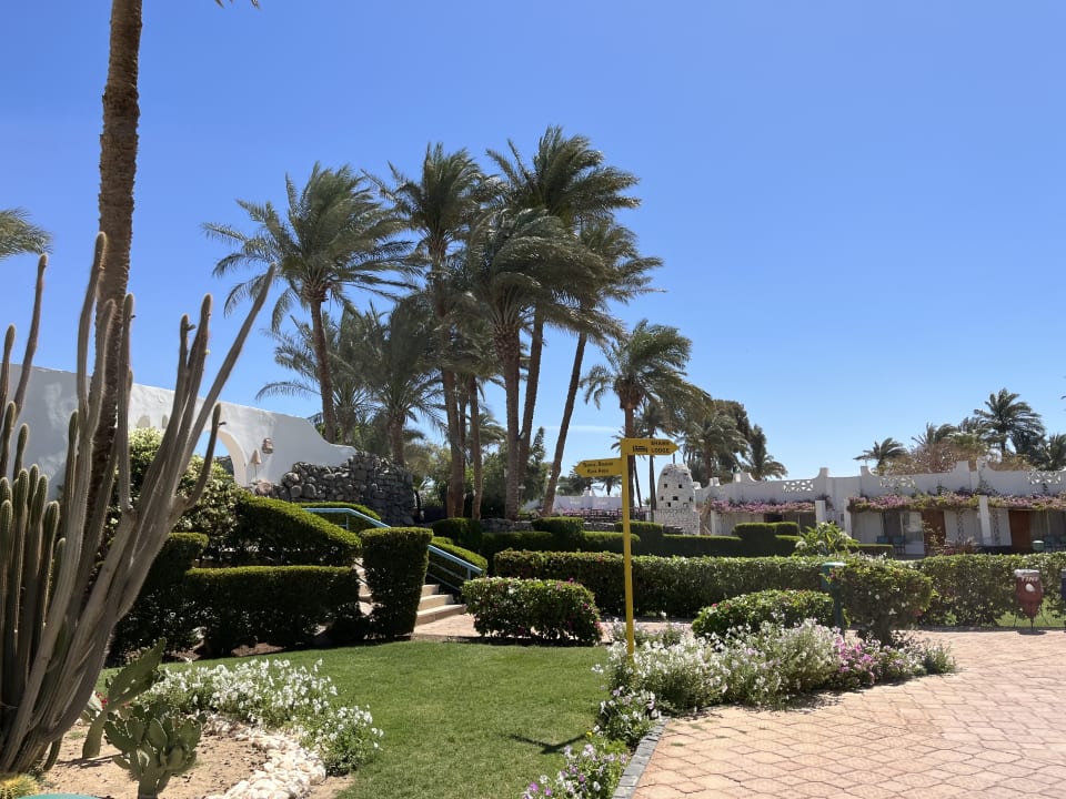Gartenanlage Shams Safaga Resort