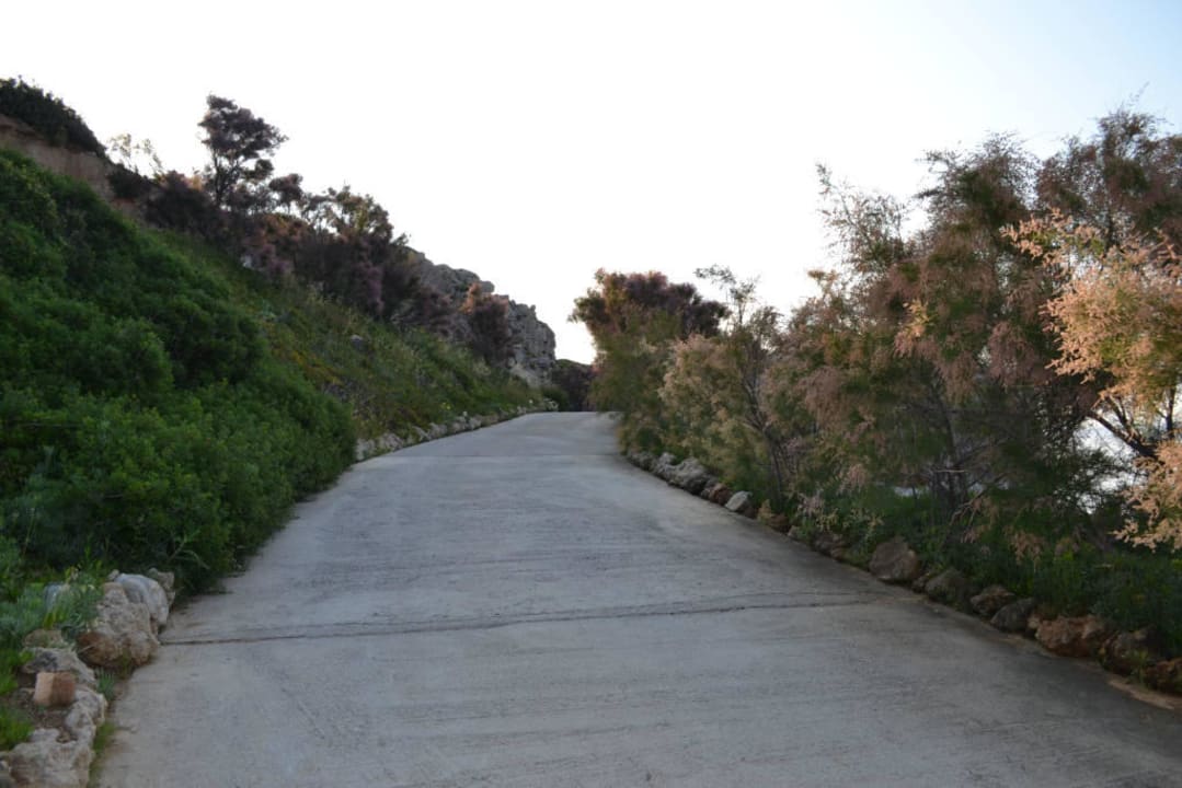 Wygląd zewnętrzny hotelu Hotel Kalithea Horizon Royal