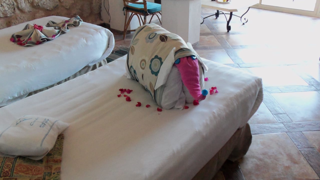 Deko Pickalbatros Citadel Resort