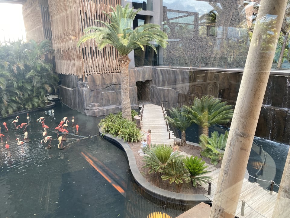 Gartenanlage Lopesan Baobab Resort