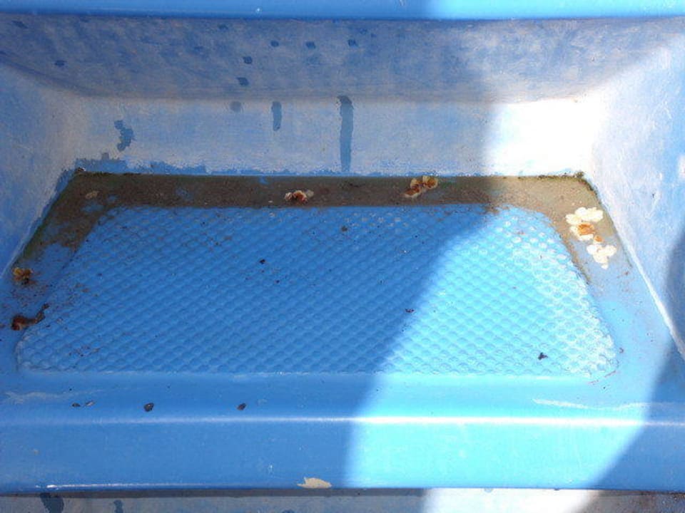 Treppe kleine Rutschen Crystal Admiral