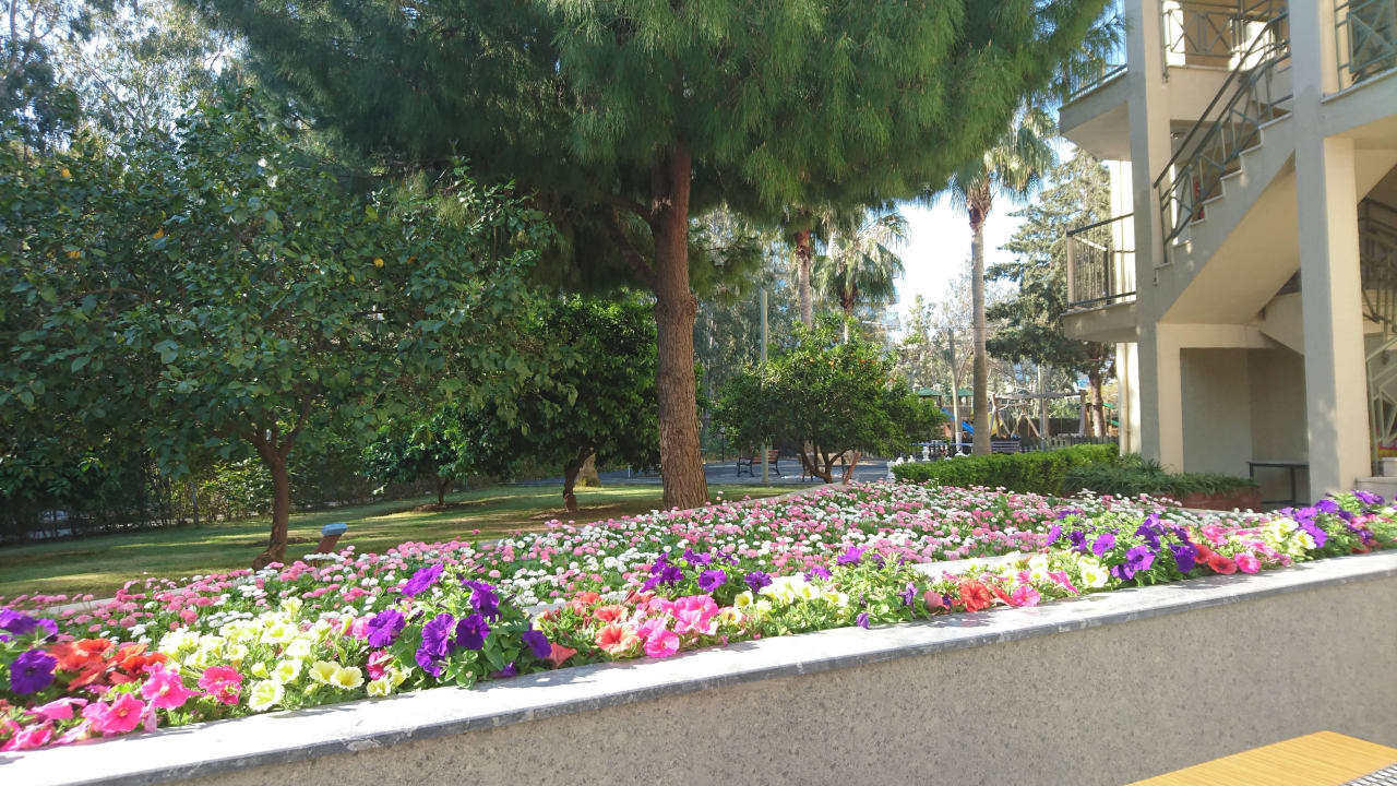 Blick beim Frühstück auf der Terrasse  Arum Barut Collection