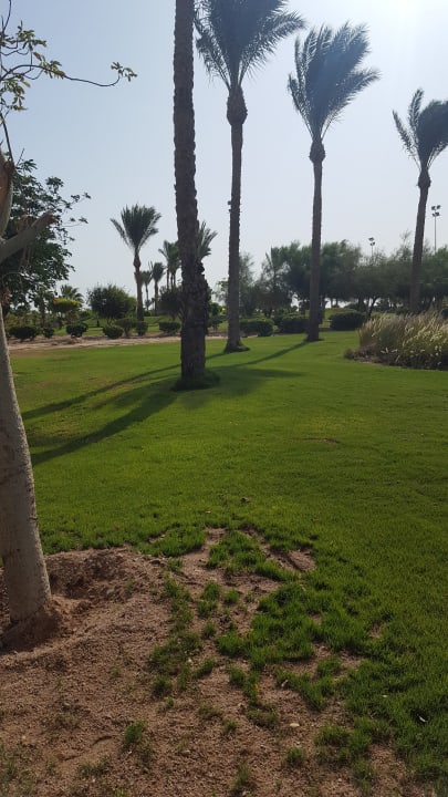 Gartenanlage Steigenberger Aqua Magic