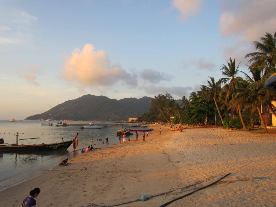 Mae Haad Beach Sensi Paradise Beach Resort