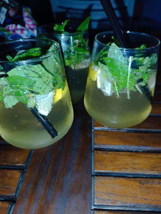 Gastro Well Palace Side