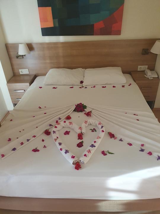 Zimmer Dream Family Club