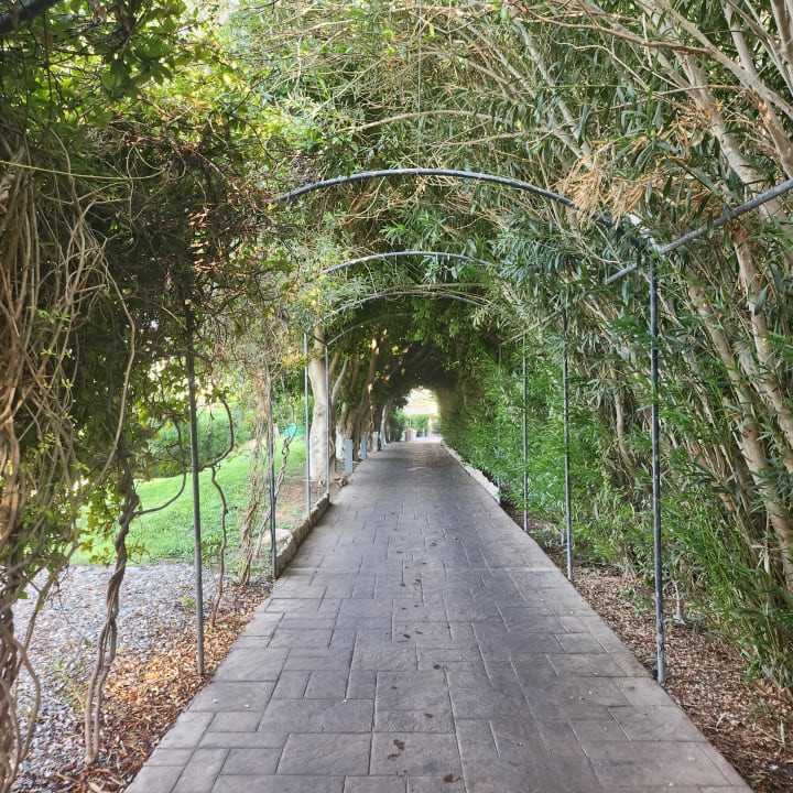 Sonstiges Atlantica Aegean Blue