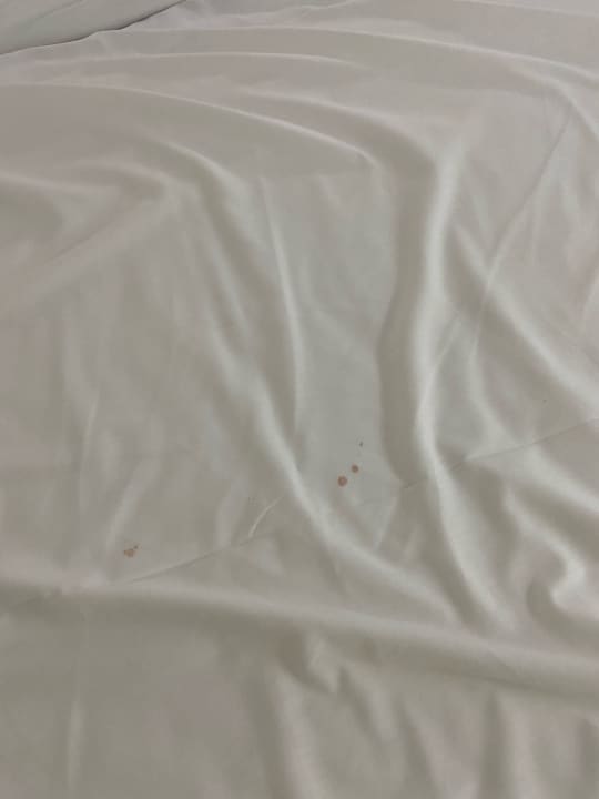 Zimmer Alcudia Garden Aparthotel