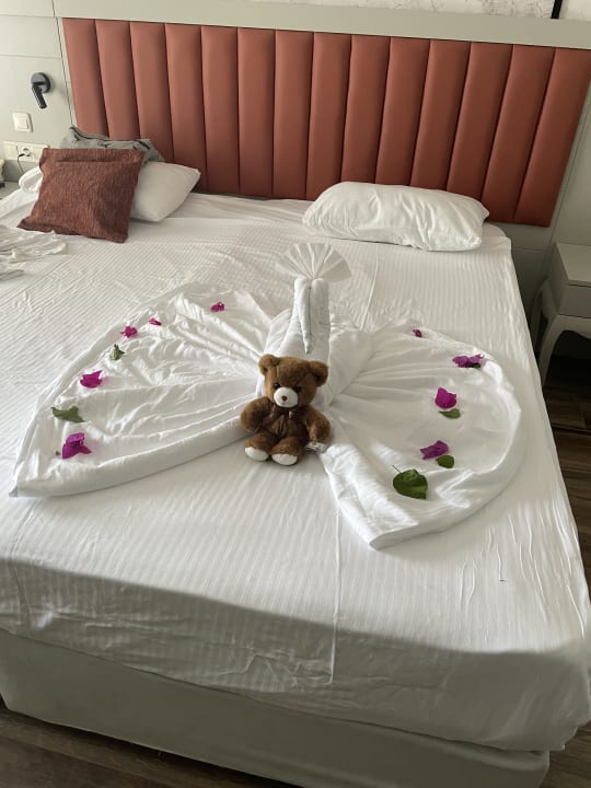 Zimmer Seaden Sea Planet Resort & Spa