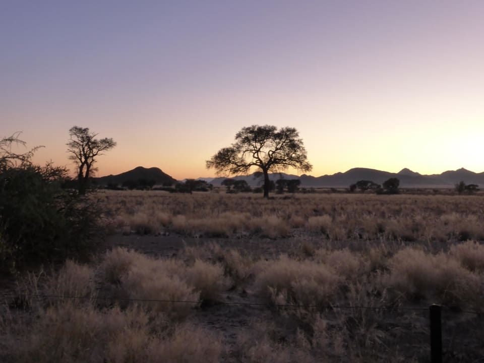 Sonnenaufgang  Namib Desert Lodge