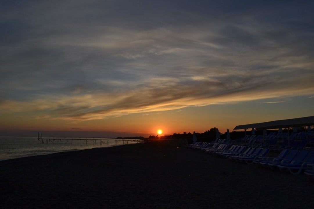 Последний вечер Timo Deluxe Resort