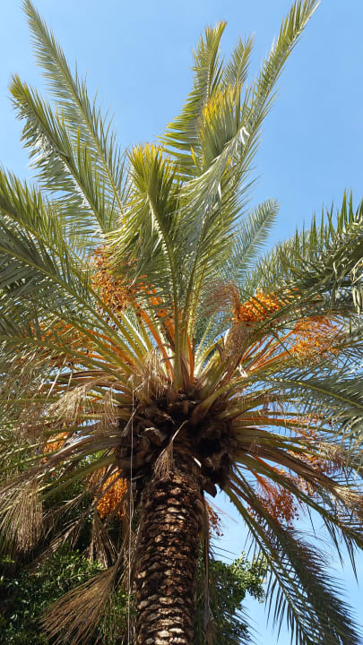 Gartenanlage Melas Resort Hotel