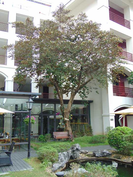 Gartenanlage Senna Hue Hotel