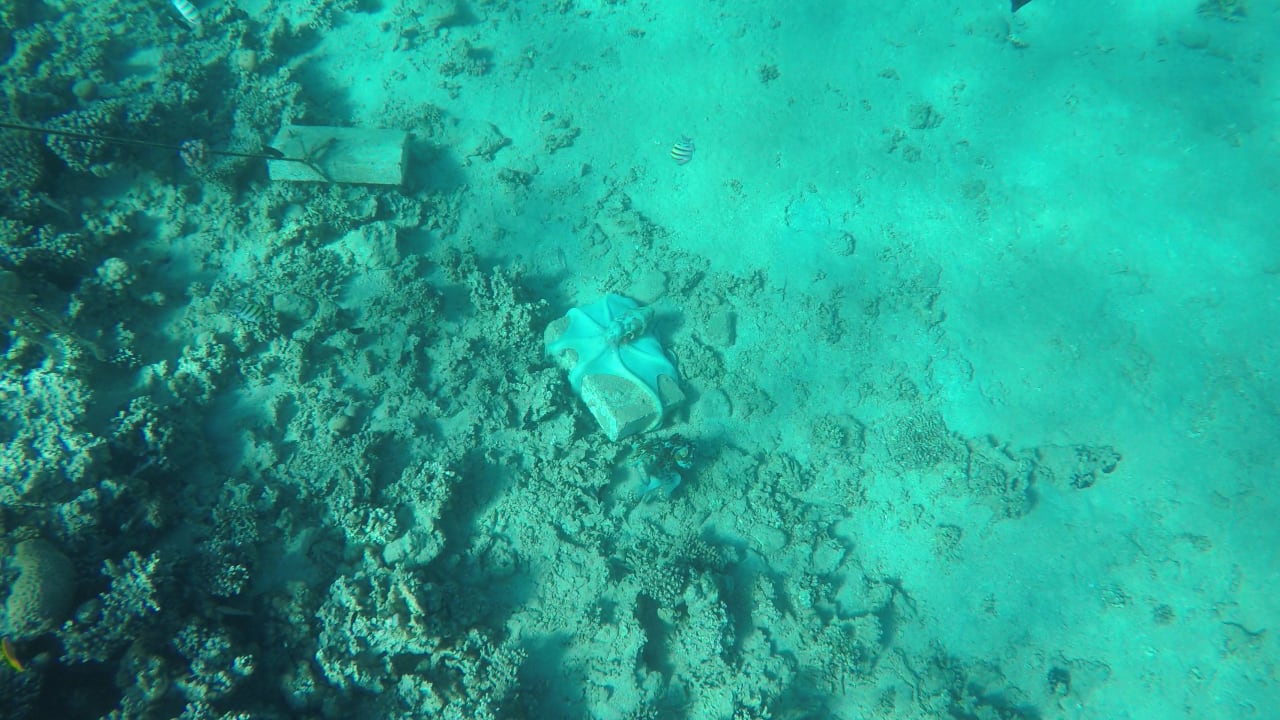 Strand Iberotel Makadi Beach