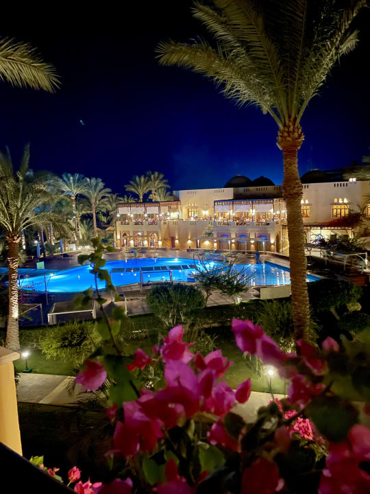 Zimmer Steigenberger Coraya Beach - Adults only