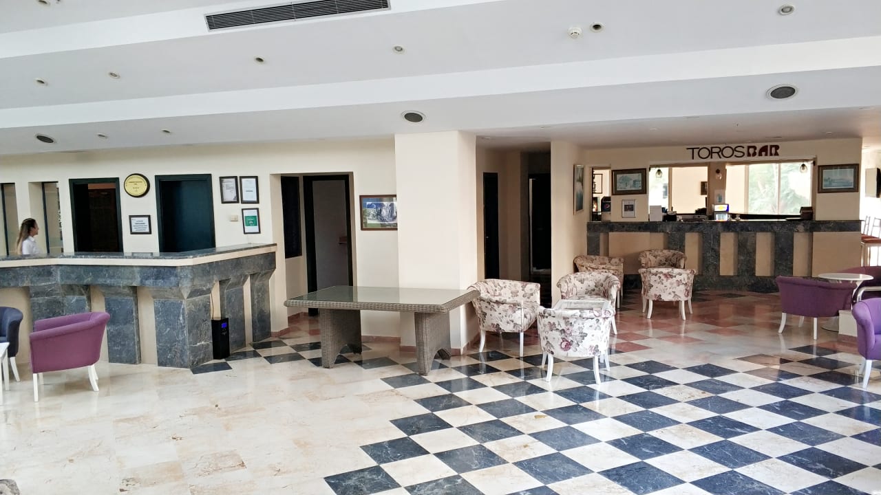 Gastro Asteria Collection Side