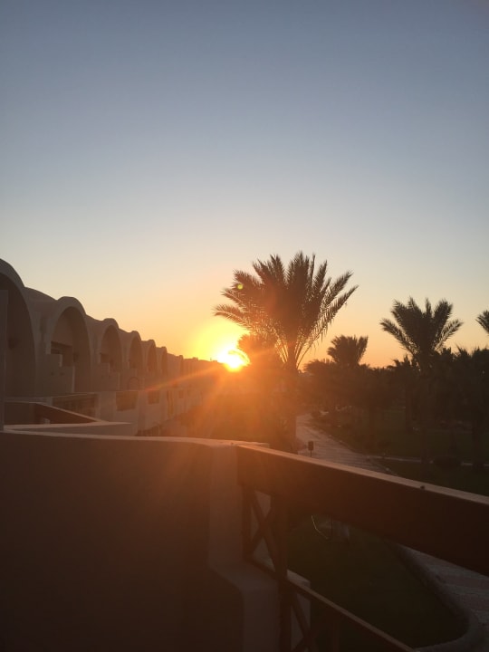 Gartenanlage Three Corners Sea Beach Resort