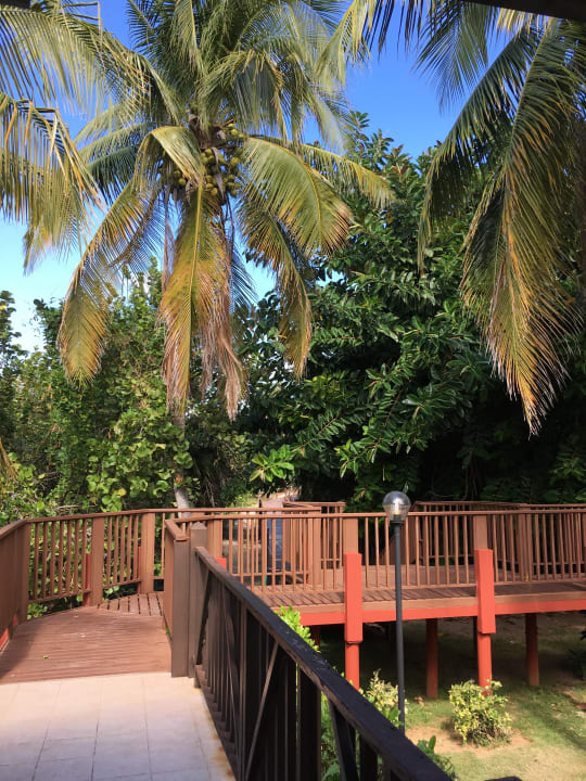 Gartenanlage Sol Hicacos Varadero