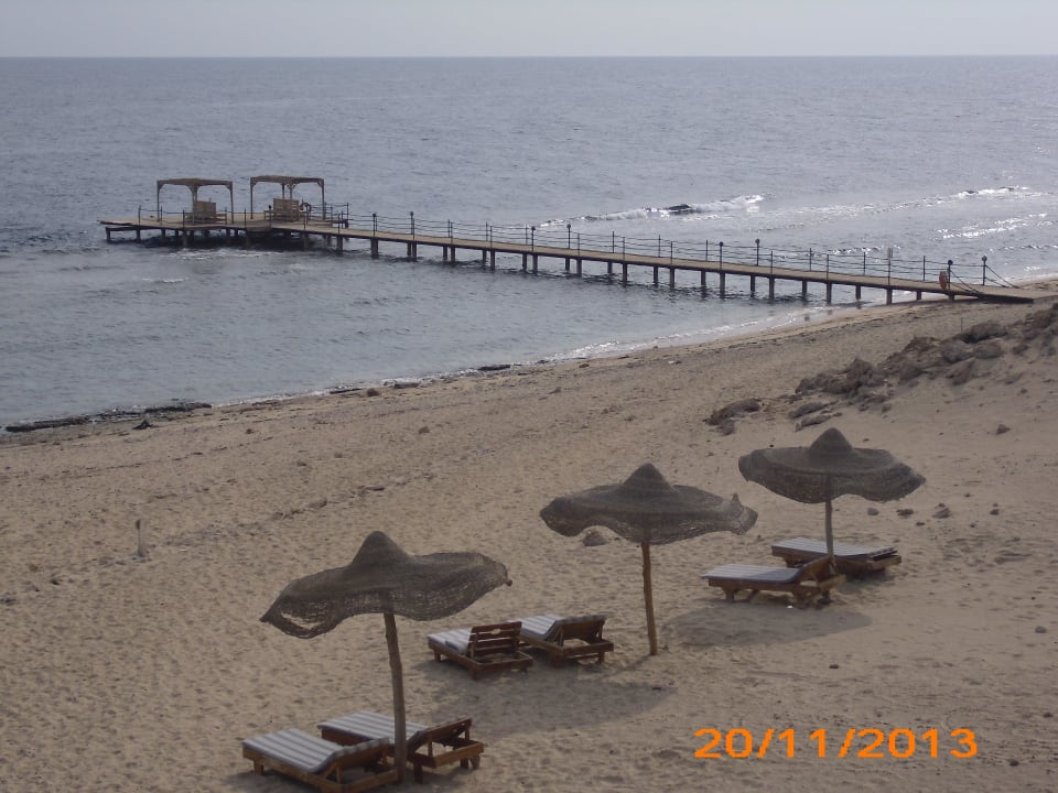 Strand mit Steg The Oasis Dive Resort