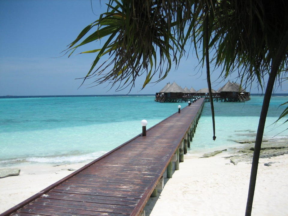 Wasserbungalows Angaga Island Resort