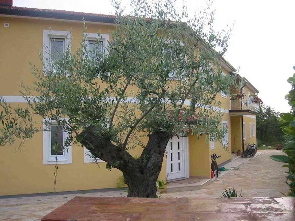 Eingangsbereich Haus Mediteran