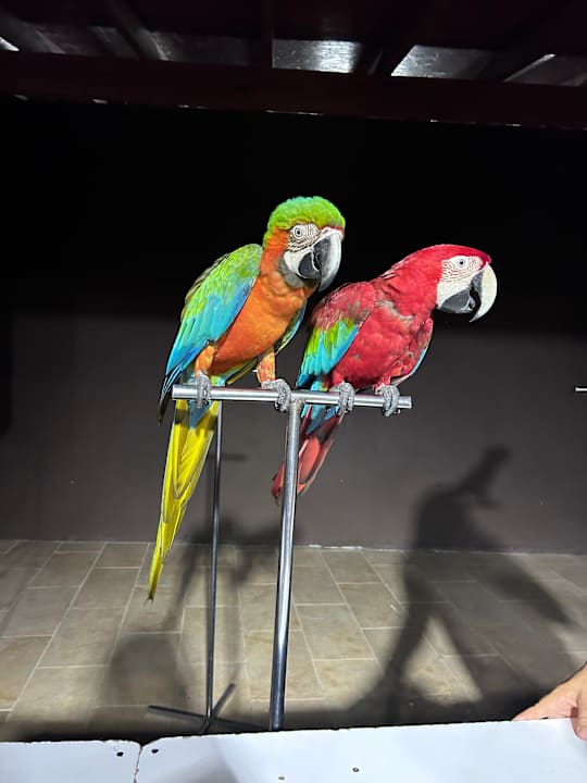 Sonstiges Adams Beach Hotel