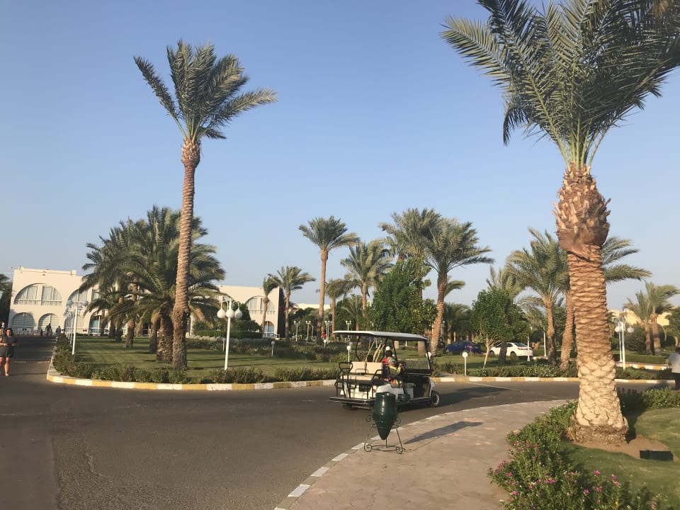 Gartenanlage Desert Rose