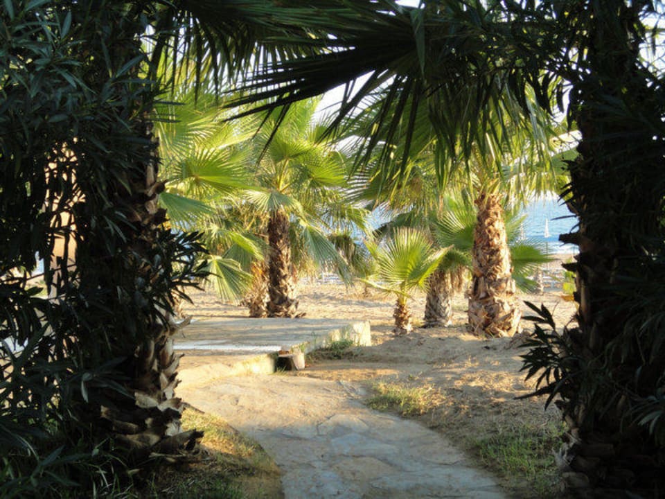 Strandweg Club Grand Side