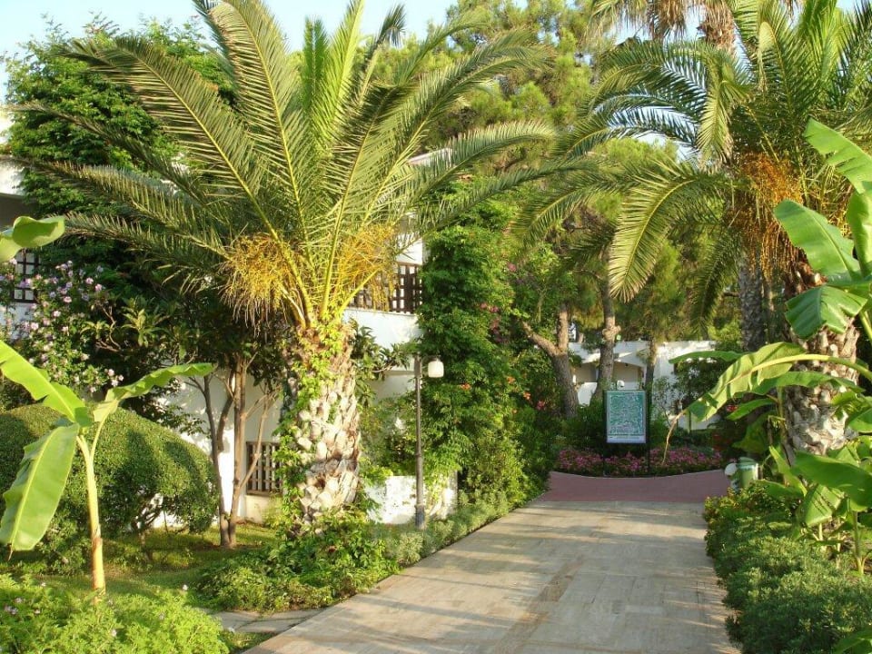 Simena Sun Club Emelda Sun Club