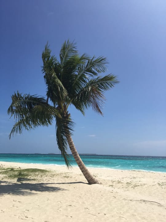 Bungalow Aussicht  Kuredu Island Resort & Spa