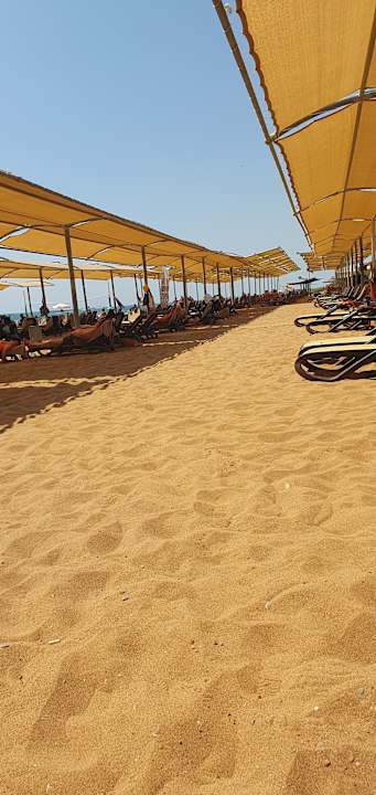 Außenansicht Royal Atlantis Beach Hotel