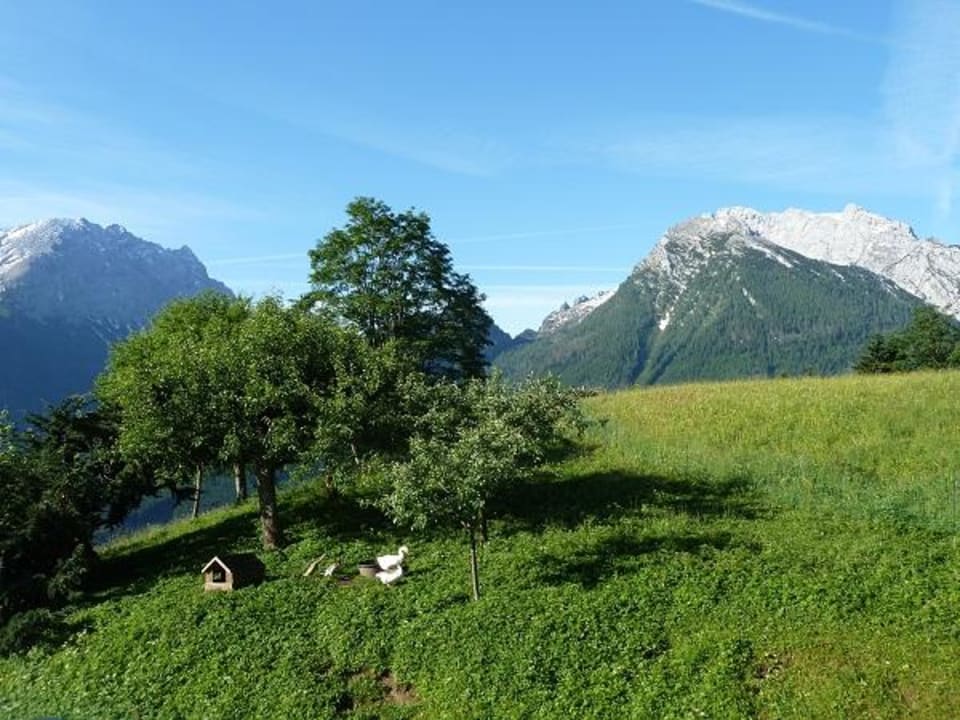 Blick vom Balkon Alpenpension Ettlerlehen