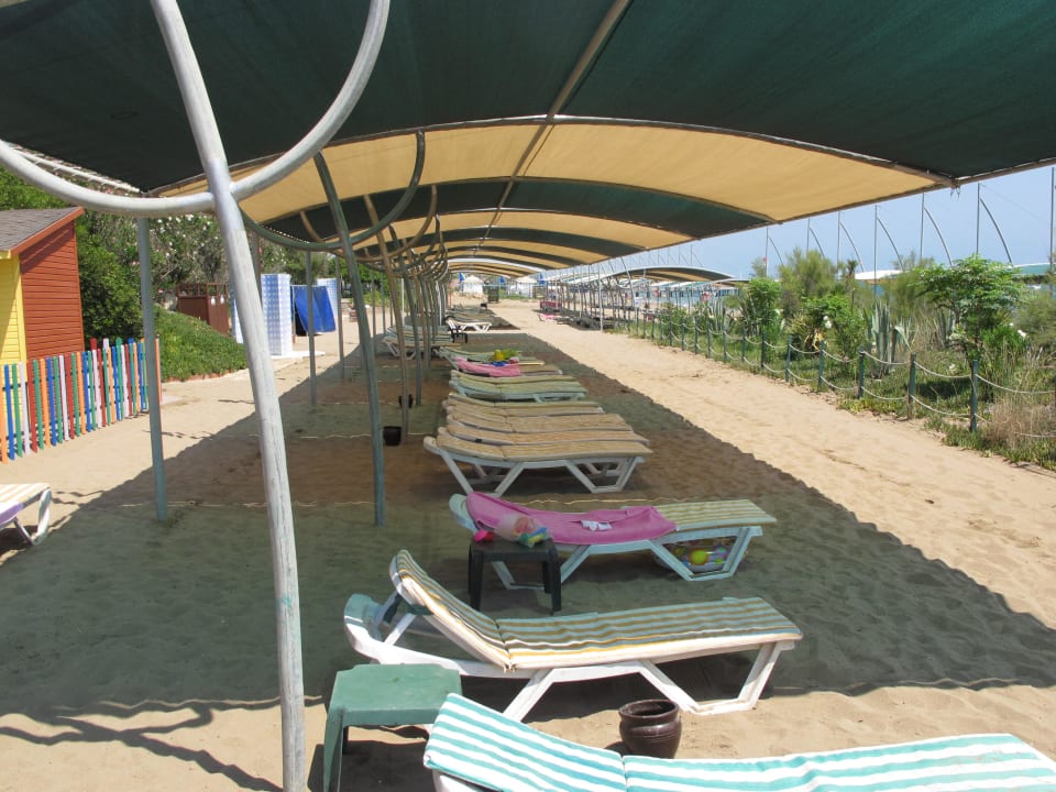 Liegen am Strand Belconti Resort Hotel