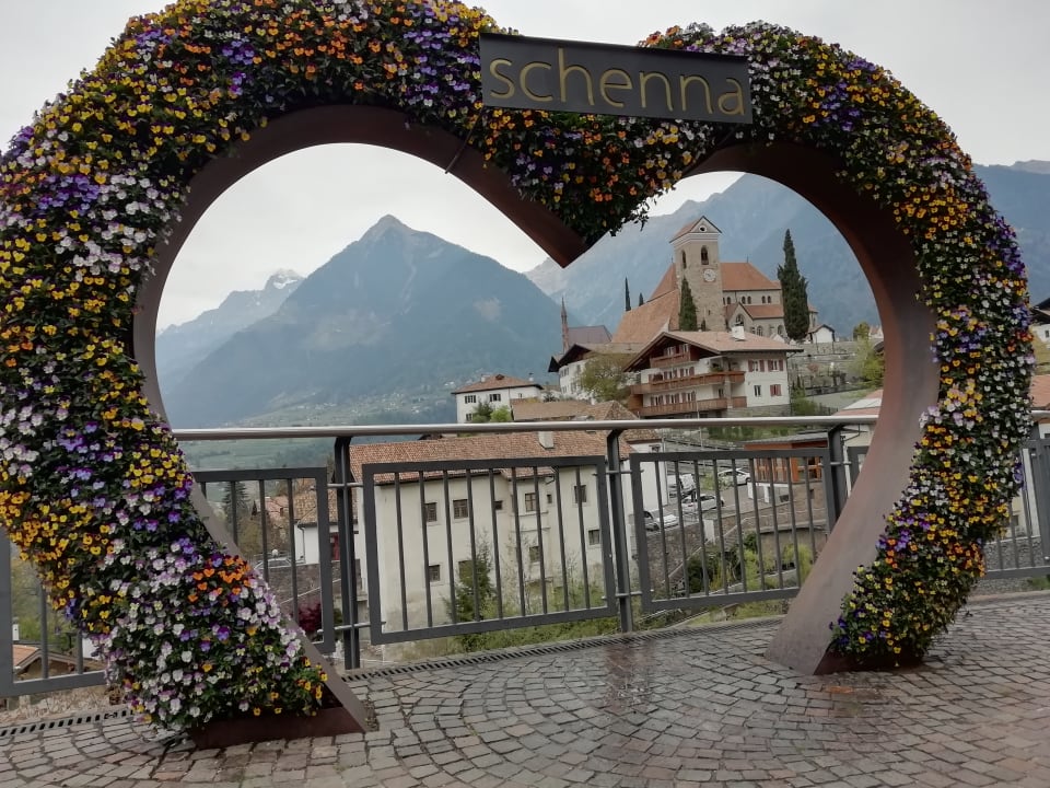 Sonstiges Baumgartner's Blumenhotel