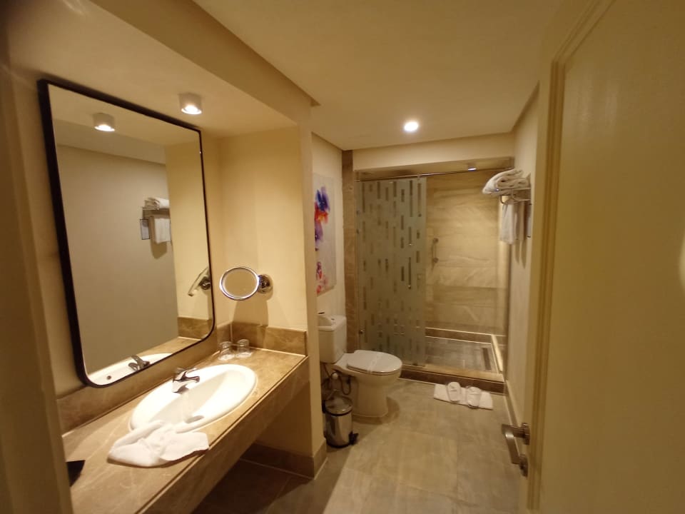 Zimmer Pickalbatros Citadel Resort