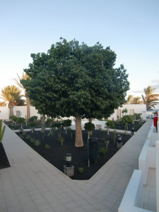 Weg zur Rezeption Hotel Las Costas