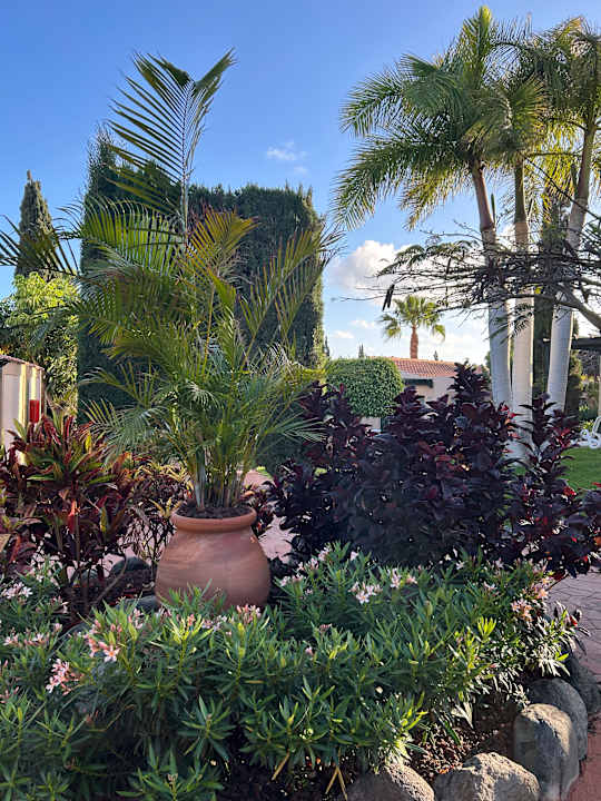 Gartenanlage allsun Hotel Esplendido
