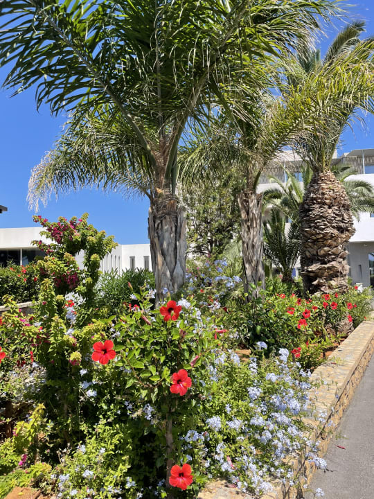 Gartenanlage Lyttos Beach Hotel