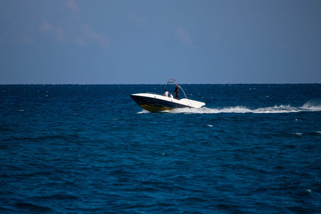 Ausblick Desert Rose
