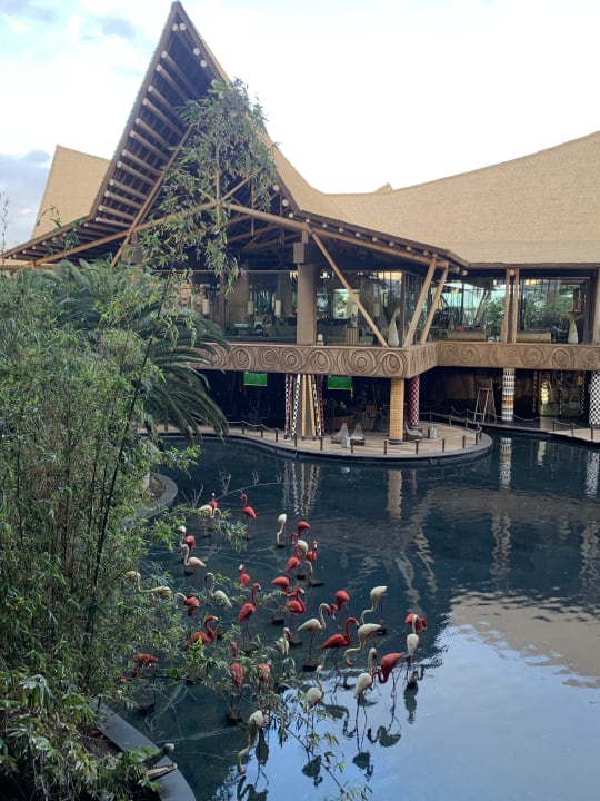 Außenansicht Lopesan Baobab Resort