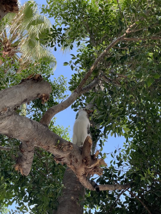 Gartenanlage Nerton Hotel - Erwachsenenhotel ab 16 Jahren