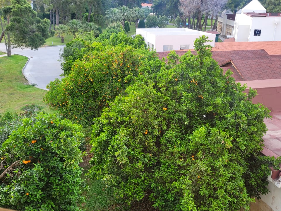 Gartenanlage Arcanus Hotels Sorgun