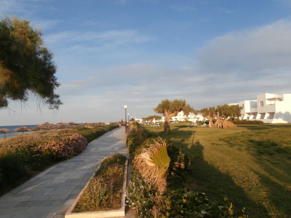 Strand am frühen Morgen Lyttos Beach Hotel