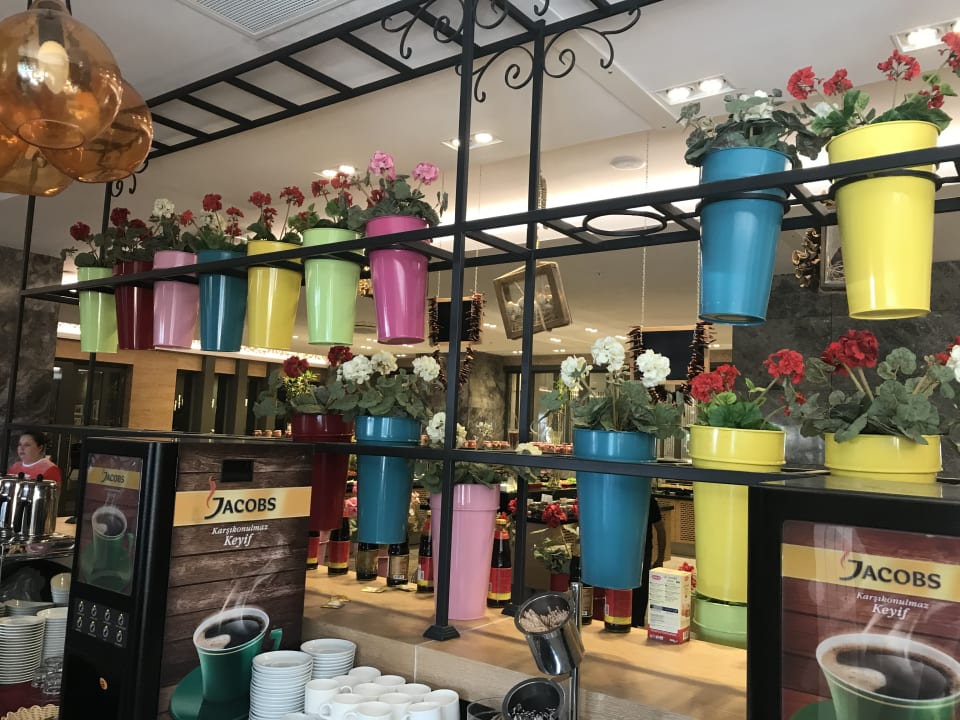 Gastro Seashell Vega