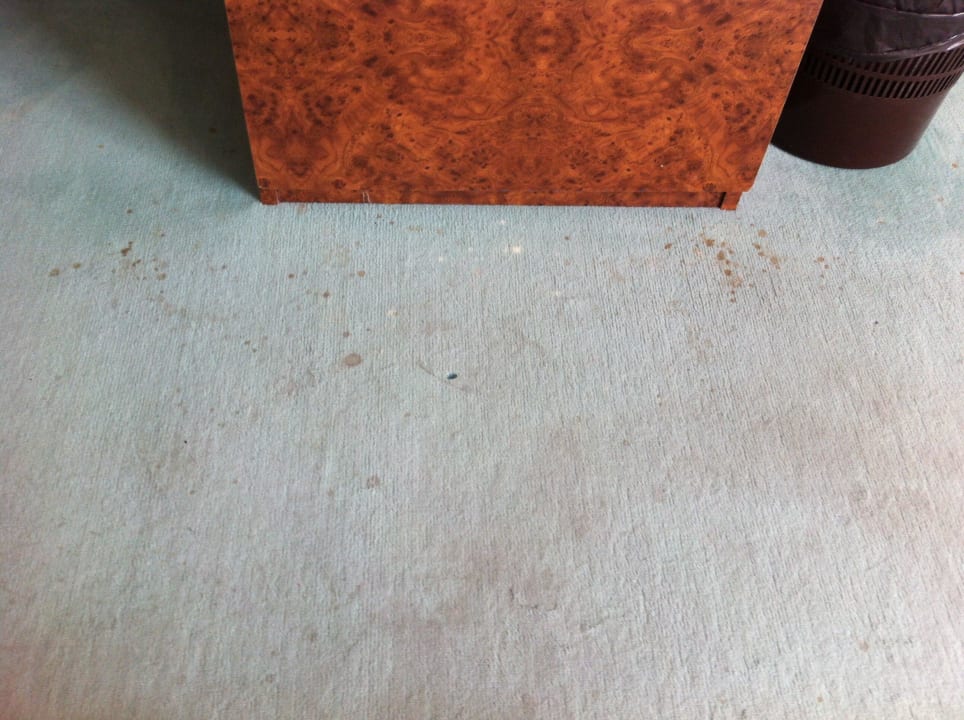 Teppich versifft Hotel Days Inn Dessau