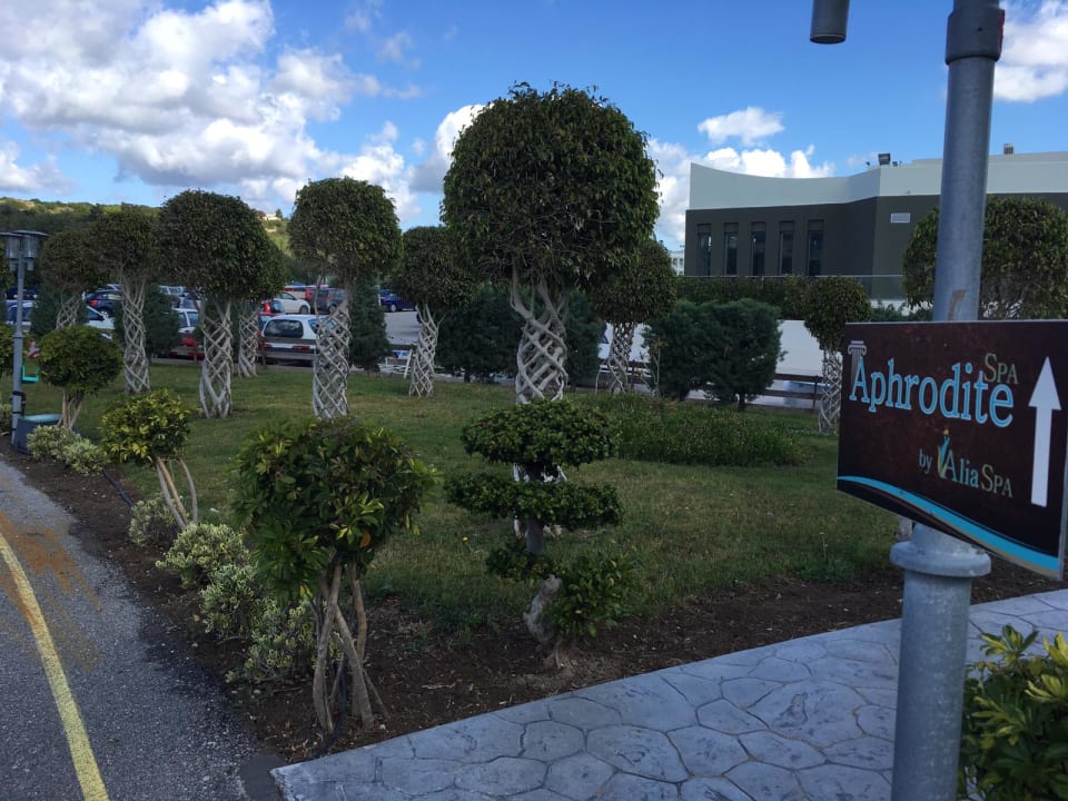 Gartenanlage Asterias Beach Resort
