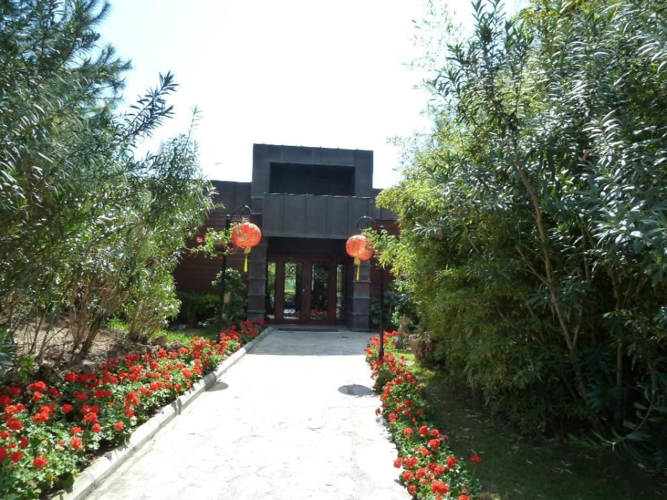 Asiatisches Restaurant Rixos Premium Belek