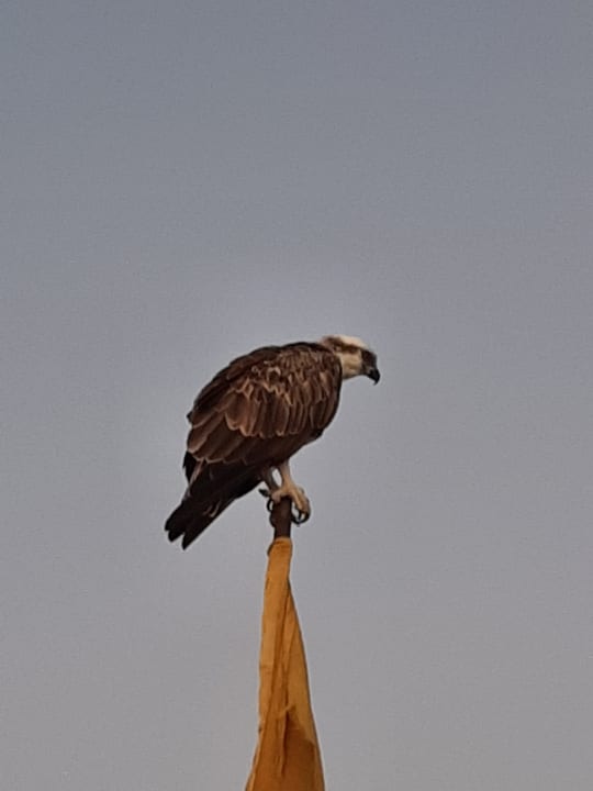 Sonstiges Bliss Nada Beach Resort